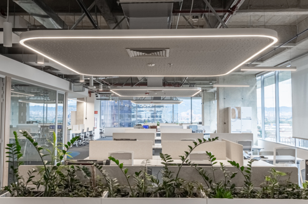 Ed. Oficinas Tigo